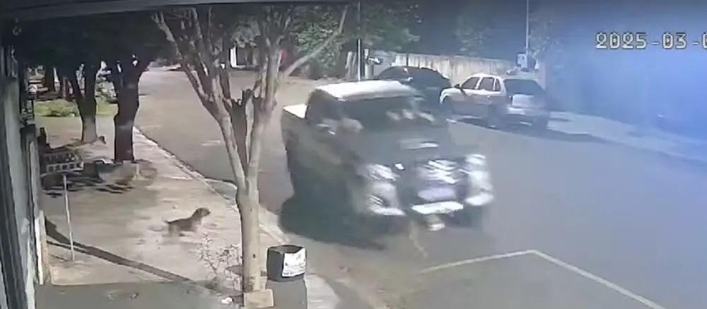 WhatsApp Image 2025-03-14 at 14.36.11