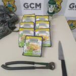 WhatsApp Image 2025-03-26 at 18.24.42