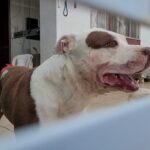 WhatsApp Image 2025-03-28 at 10.08.14