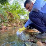 a4f8dac8-9245-455a-9036-ae6a333b10d8