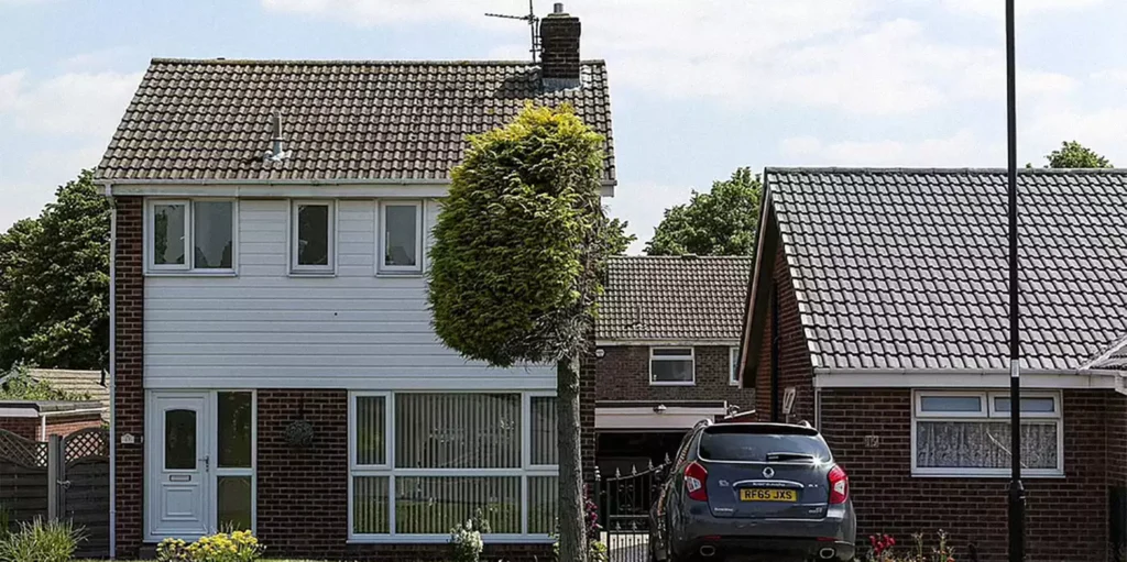 arvore cortada ao meio