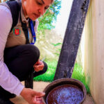 f0a3059d-d888-4cfa-9b31-f3cf575689dd