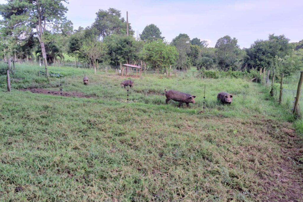 whatsapp_image_2025-03-25_at_13.42.05_2