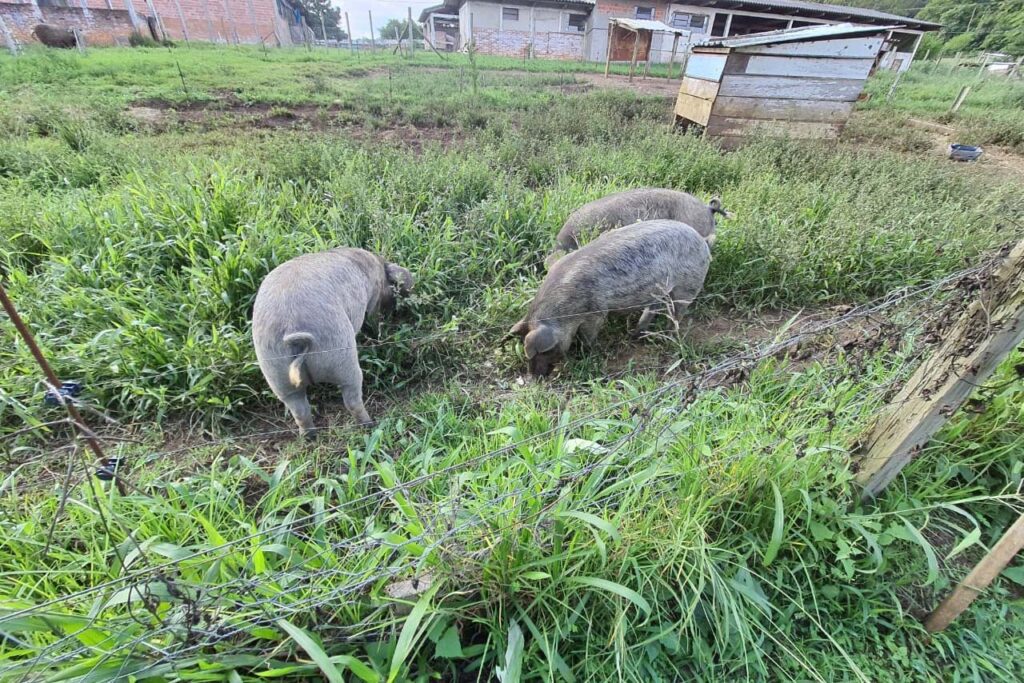 whatsapp_image_2025-03-25_at_13.42.06