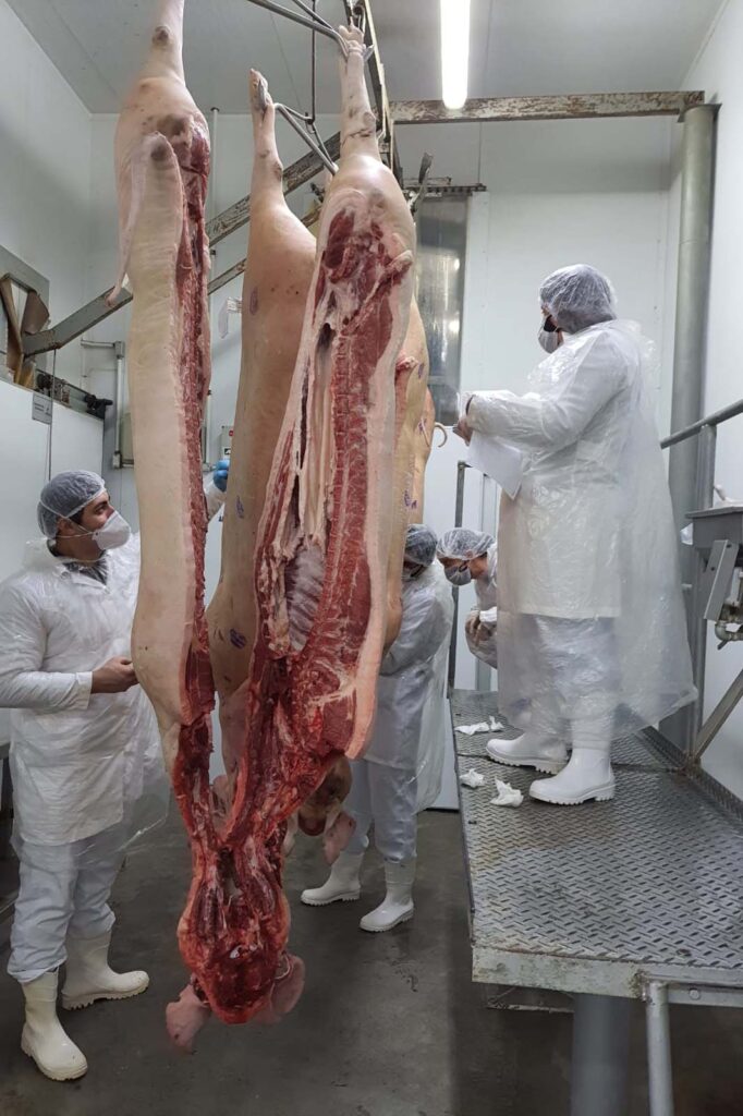 whatsapp_image_2025-03-25_at_13.42.07