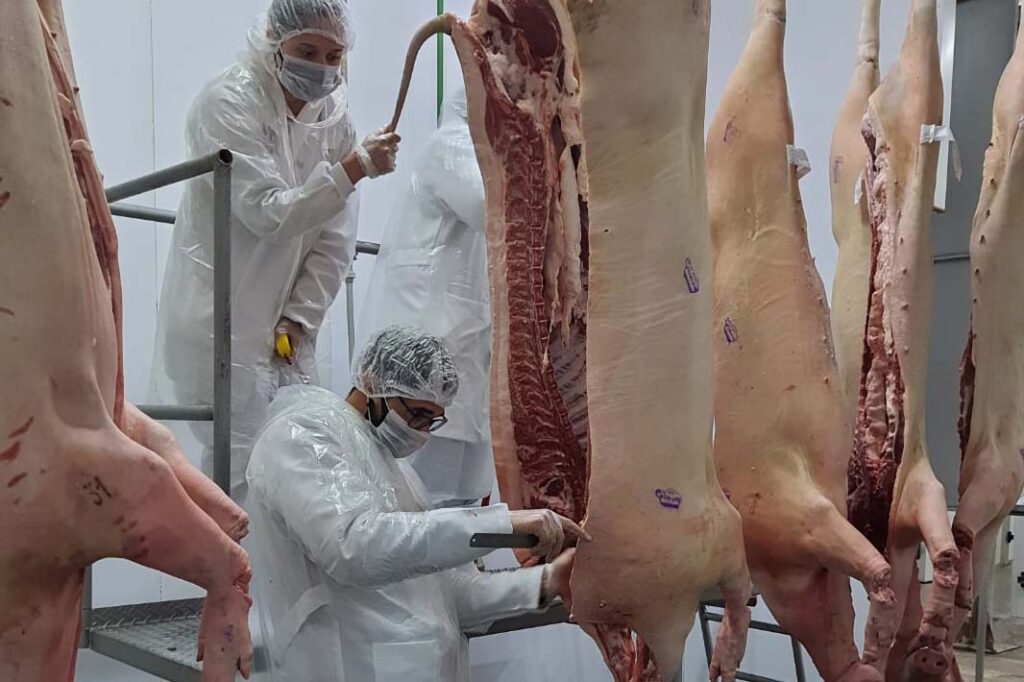 whatsapp_image_2025-03-25_at_13.42.07_1