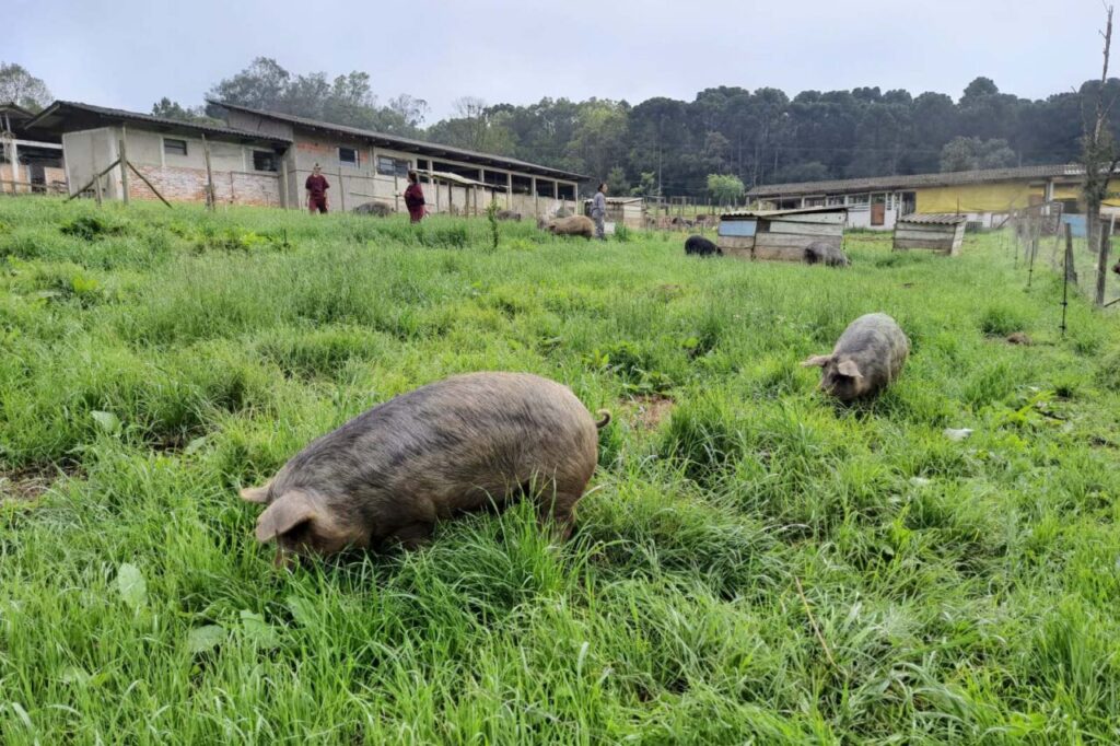 whatsapp_image_2025-03-25_at_13.42.07_3