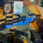 whatsapp_image_2025-03-29_at_09.50.54_1