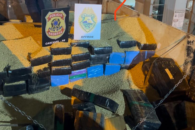 whatsapp_image_2025-03-29_at_09.50.54_1