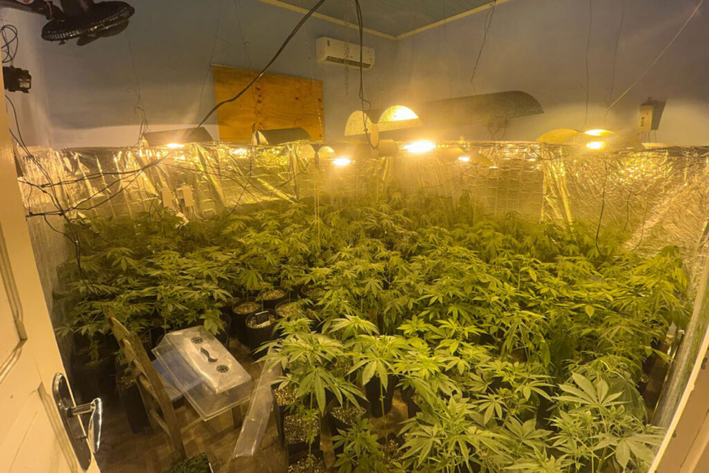 whatsapp_image_2025-03-29_at_12.06.18_1