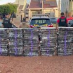 38f32695-77af-484c-9c68-f613f84a3b21 (1)