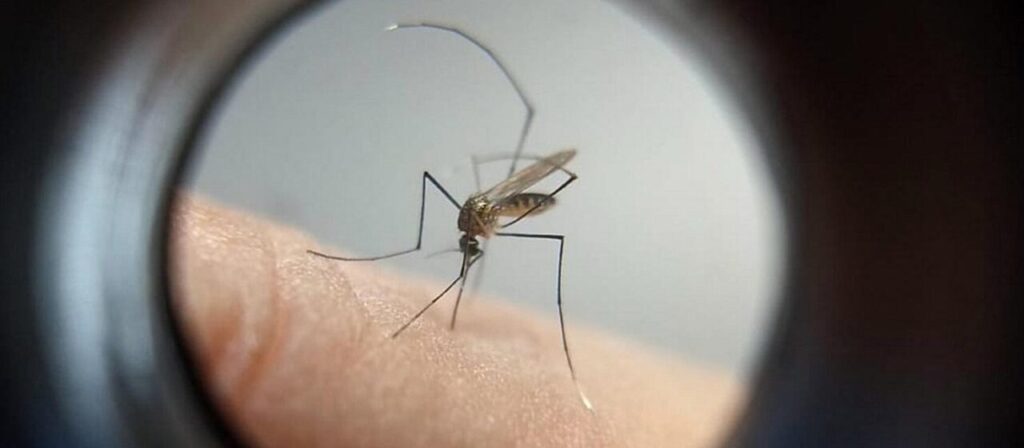 67ae7a458ee5db6b344b826761e4f4b2