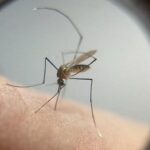 67ae7a458ee5db6b344b826761e4f4b2