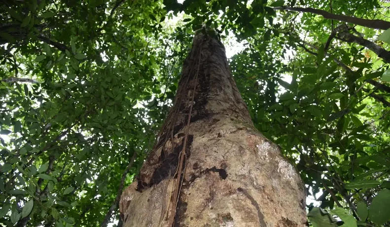 7fa7bcbd99258eadc6174f5e89f8c2ae775