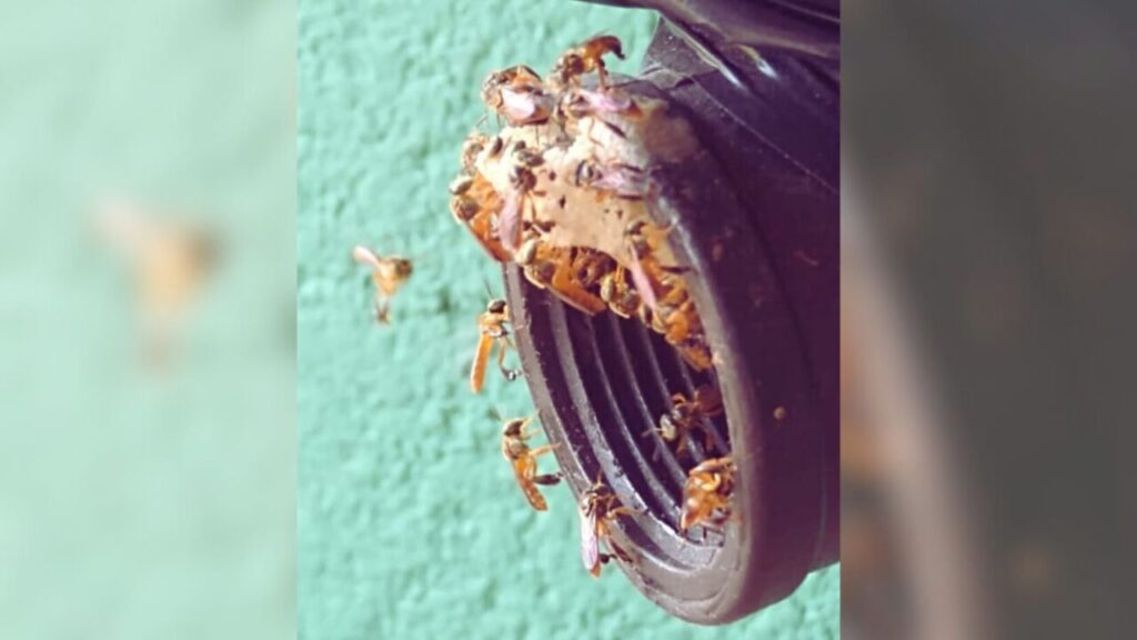 Design sem nome (12)