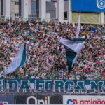 torcida organizada força maringaense maringá fc