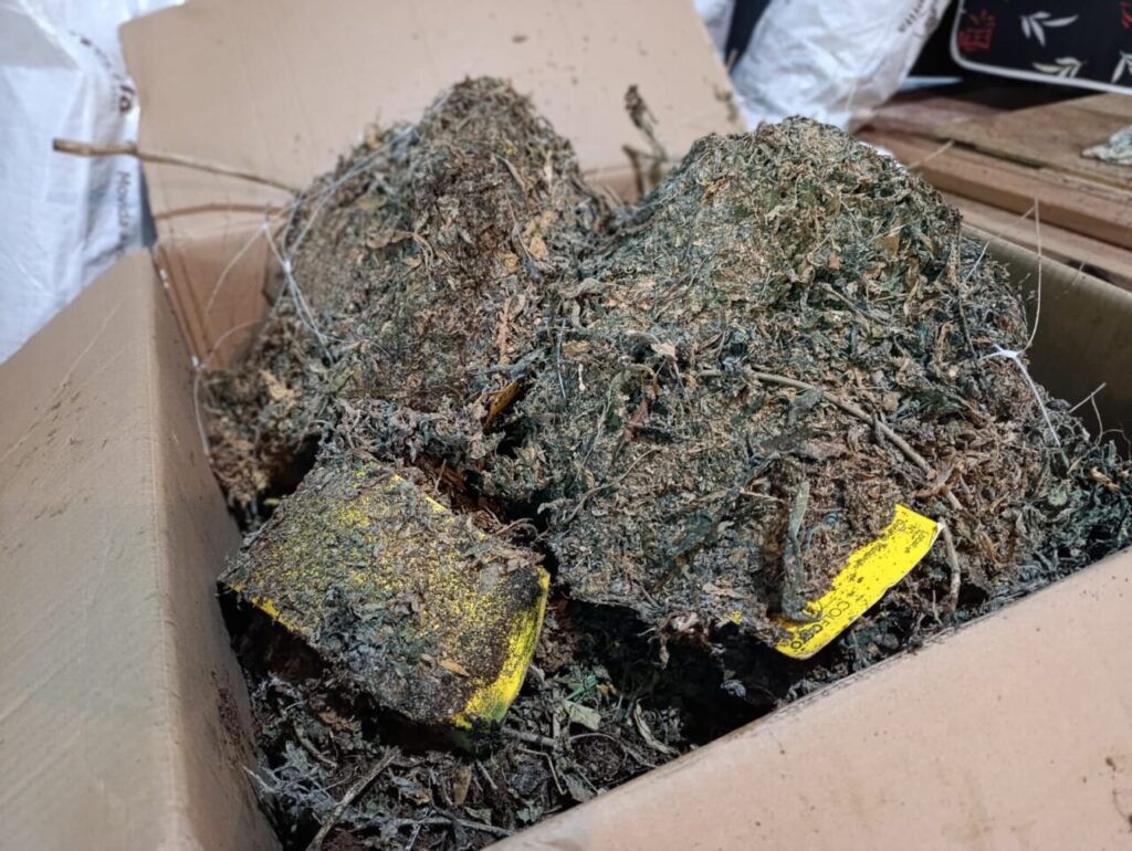 Imagem do WhatsApp de 2025-04-14 à(s) 18.08.41_677e99d4