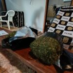 Imagem do WhatsApp de 2025-04-14 à(s) 18.08.45_67301954