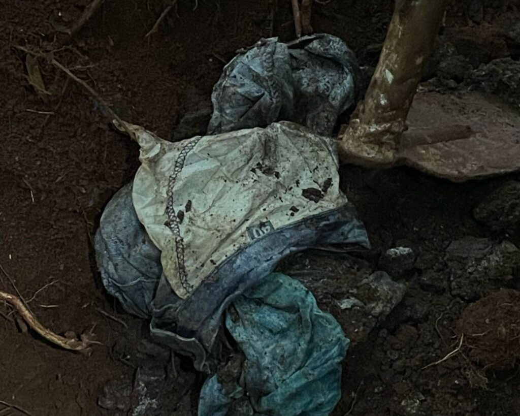 Imagem do WhatsApp de 2025-04-28 à(s) 13.30.49_60140cba