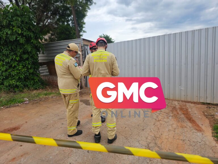 Vídeo árvore cai e atinge caminhonete em movimento no centro de Maringá (2)