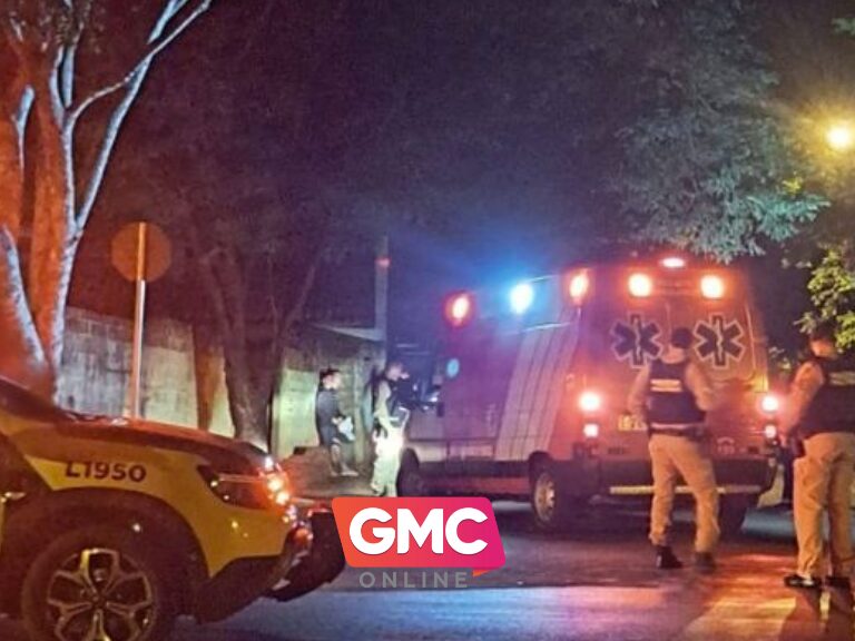 Vídeo árvore cai e atinge caminhonete em movimento no centro de Maringá (4)