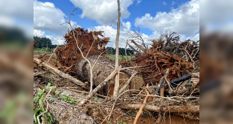 WhatsApp-Image-2025-04-01-at-093523_00566489_0_202504011011-galeria