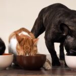 WhatsApp Image 2025-04-06 at 10.51.06