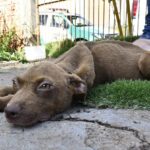 WhatsApp Image 2025-04-07 at 09.53.45