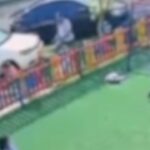 WhatsApp Image 2025-04-07 at 15.51.23