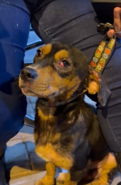 WhatsApp Image 2025-04-11 at 16.05.30