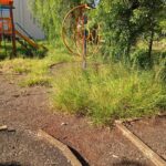 WhatsApp Image 2025-04-14 at 12.29.04