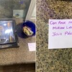 WhatsApp Image 2025-04-17 at 18.17.51