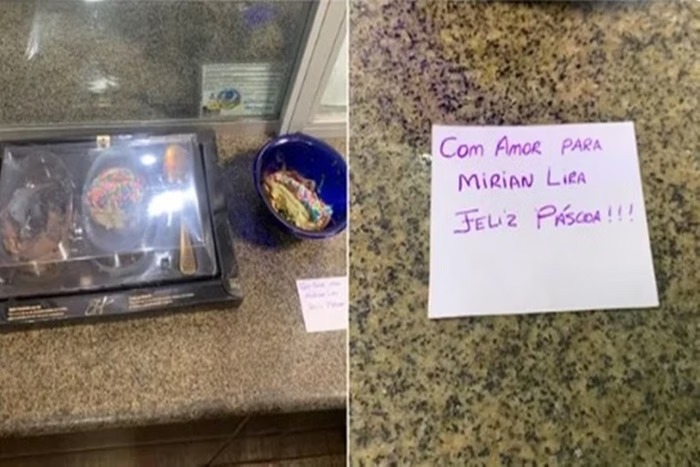 WhatsApp Image 2025-04-17 at 18.17.51