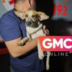 WhatsApp Image 2025-04-22 at 11.11.26 (1)