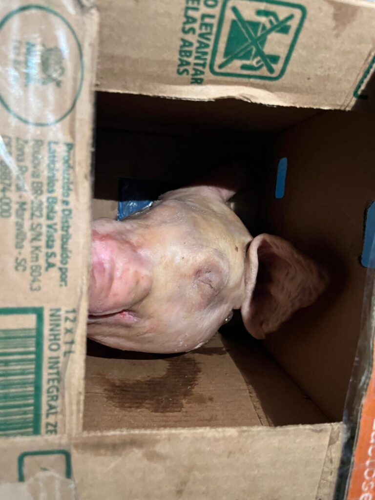 WhatsApp Image 2025-04-30 at 16.10.33