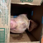 WhatsApp Image 2025-04-30 at 16.10.33