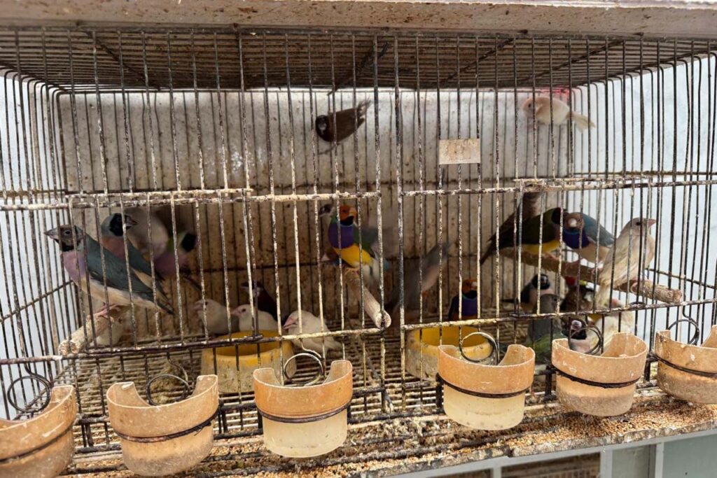 b338fe5b-121f-4a9e-b44d-5e26c43c9f8d