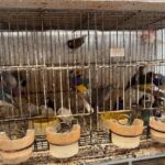 b338fe5b-121f-4a9e-b44d-5e26c43c9f8d