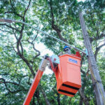 ed9d4616-b4ca-4d3c-a9a7-021910d9848f