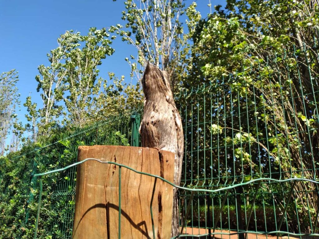 eurogardenmaringa_1744113028_3606203822943931602_11322249841