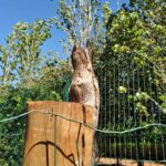 eurogardenmaringa_1744113028_3606203822943931602_11322249841