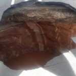 sem-titulo-36-750×450