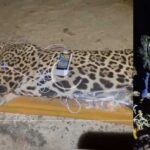 whatsapp-image-2025-04-24-at-065855