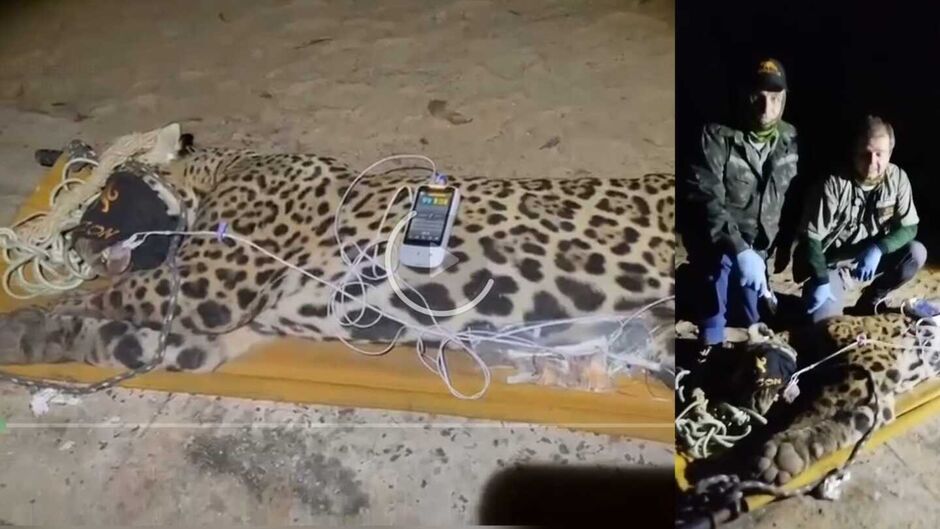 whatsapp-image-2025-04-24-at-065855