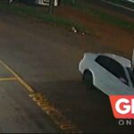 Design sem nome (17)