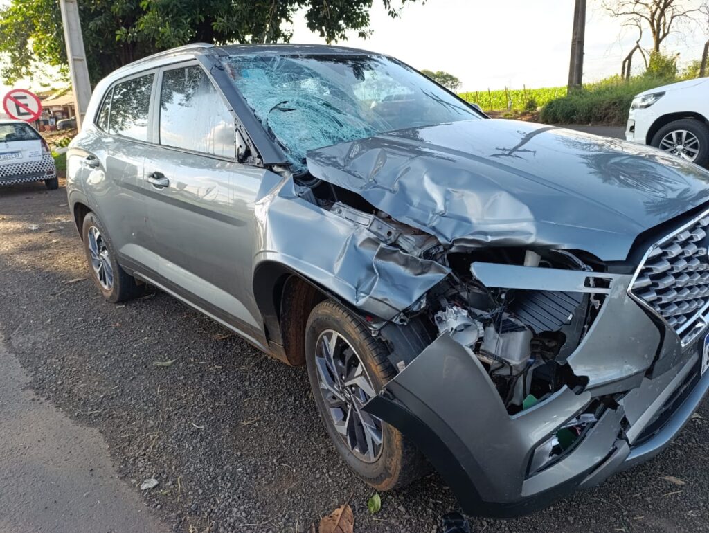 Imagem do WhatsApp de 2025-05-13 à(s) 16.15.52_8f654e32