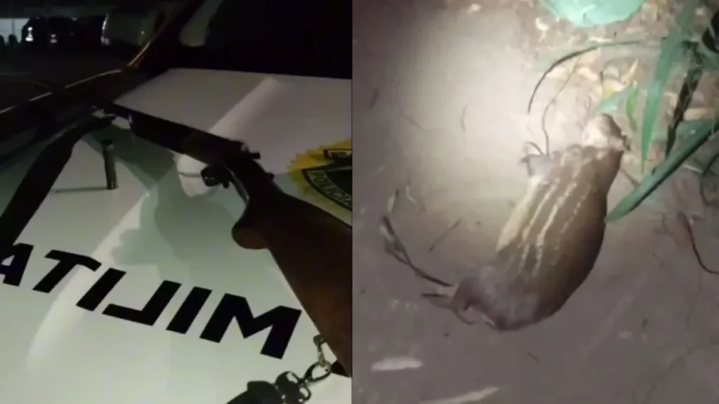 Paca-esta-em-perigo-de-extincao-no-Parana-00986944-0-202505150757-ScaleDownProportional