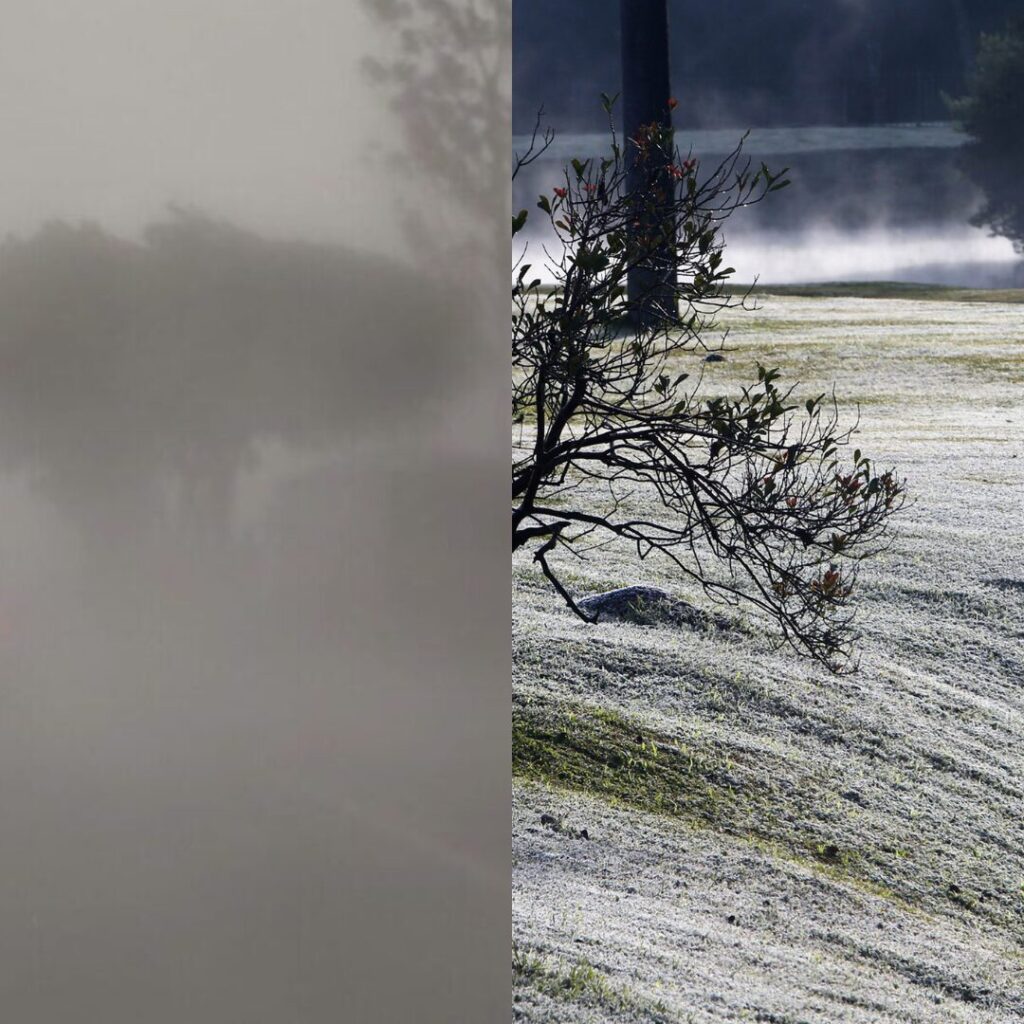 Post para Instagram de colagem de fotos de família com grade limpa em azul-claro e branco (7)