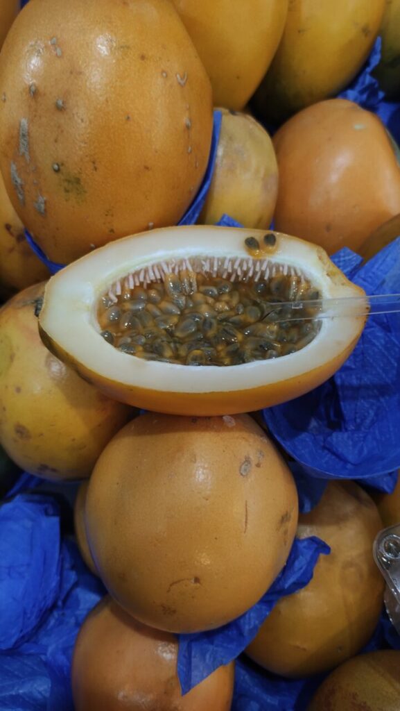 WhatsApp Image 2025-05-09 at 08.44.23