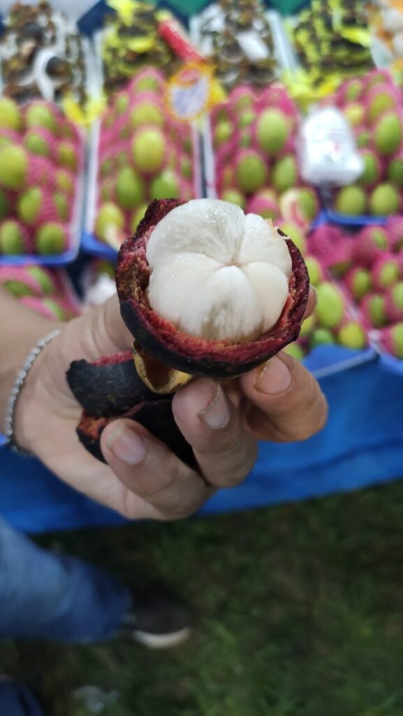 WhatsApp Image 2025-05-09 at 08.44.24